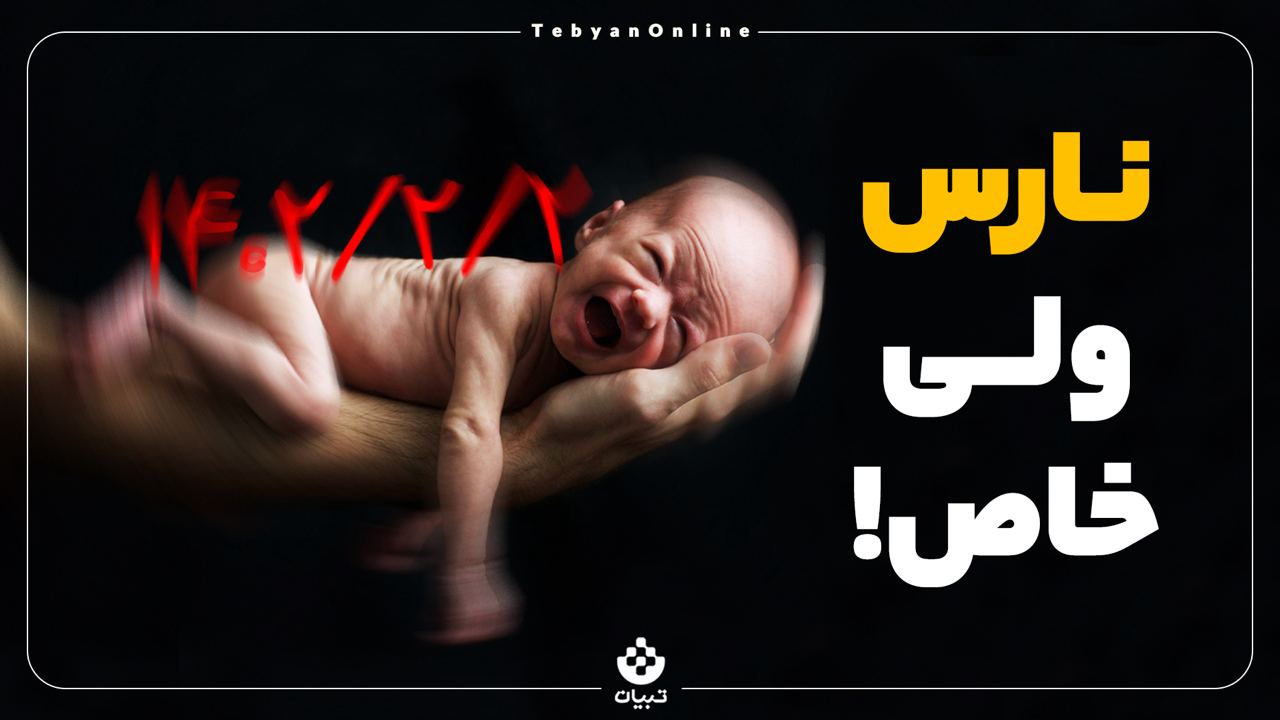 تولد لاکچری تولد لاکچری