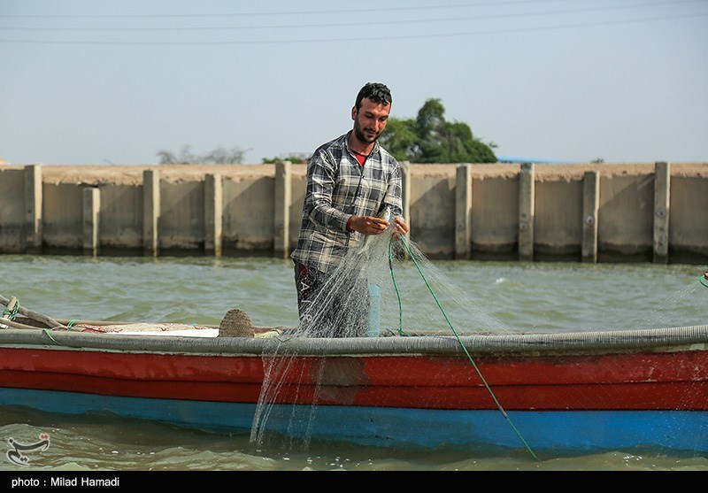 صید ماهی صبور ، اروند رود ، ماهیان بومی کشور ایران ، رودخانه آبادان ، رودخانه اروندکنار ، صید ماهی صبور ، اروند رود ، ماهیان بومی کشور ایران ، رودخانه آبادان ، رودخانه اروندکنار ،
