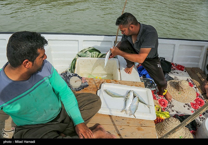 صید ماهی صبور ، اروند رود ، ماهیان بومی کشور ایران ، رودخانه آبادان ، رودخانه اروندکنار ، صید ماهی صبور ، اروند رود ، ماهیان بومی کشور ایران ، رودخانه آبادان ، رودخانه اروندکنار ،