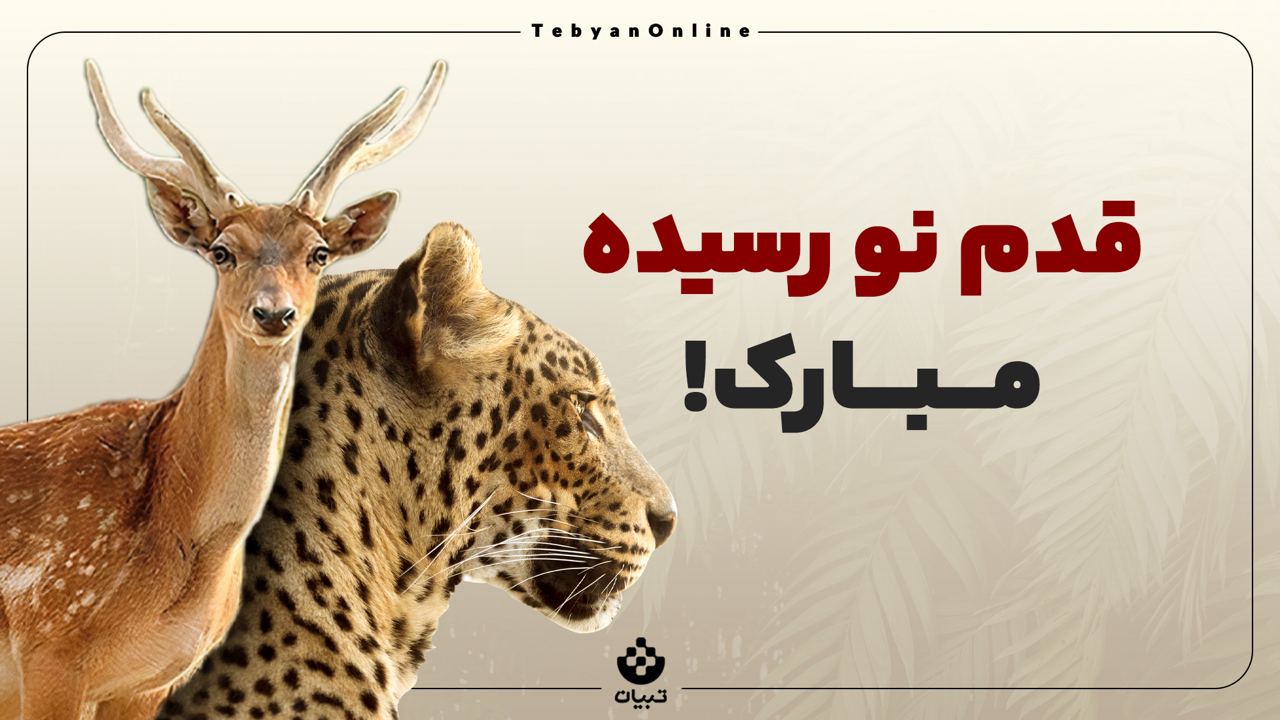 محیطزیست ، حیاتوحش، گونههای بینظیر جانوری ، روز جهانی محیط زیست ، توله شیر سفید آفریقایی ، گوزن زرد ایرانی ، پلنگ ایرانی ،