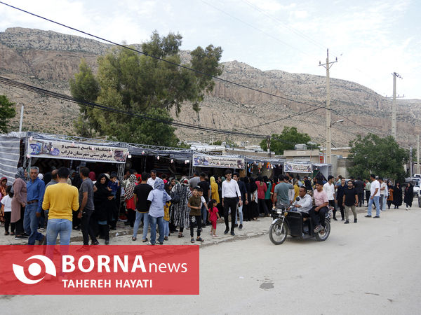 شهرستان داراب ، روستای لایرنگان ، دشت دیمی گل محمدی جهان ، جشنواره گل و گلاب،