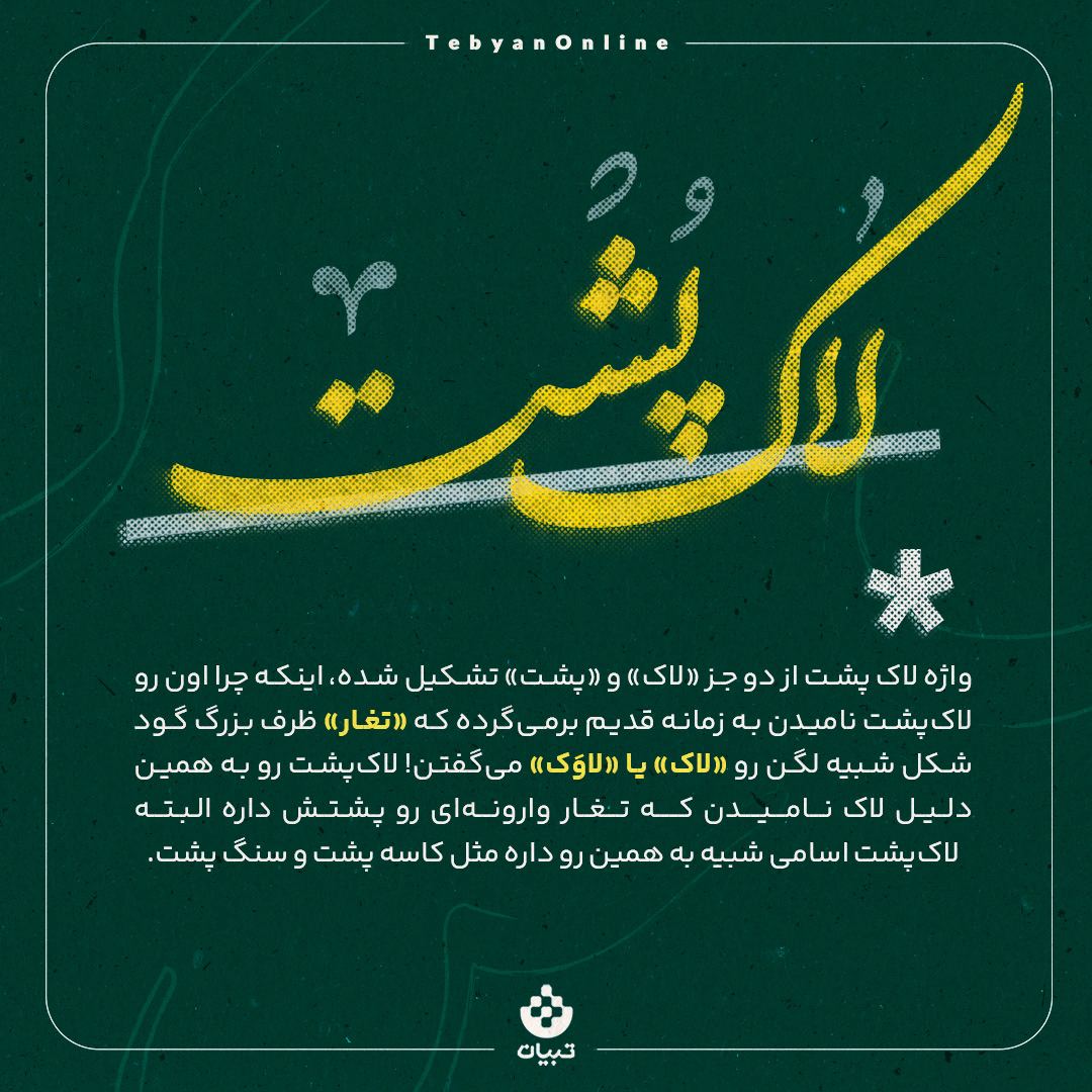 سرگذشت واژهها ، لاک پشت ،