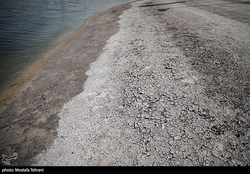 حال و روز دریاچه آزادی در روزهای گرم تابستان