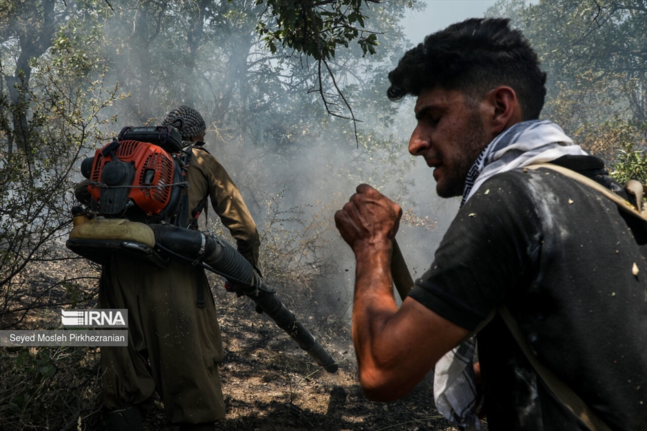 آتش سوزی جنگلهای بلوط زاگرس