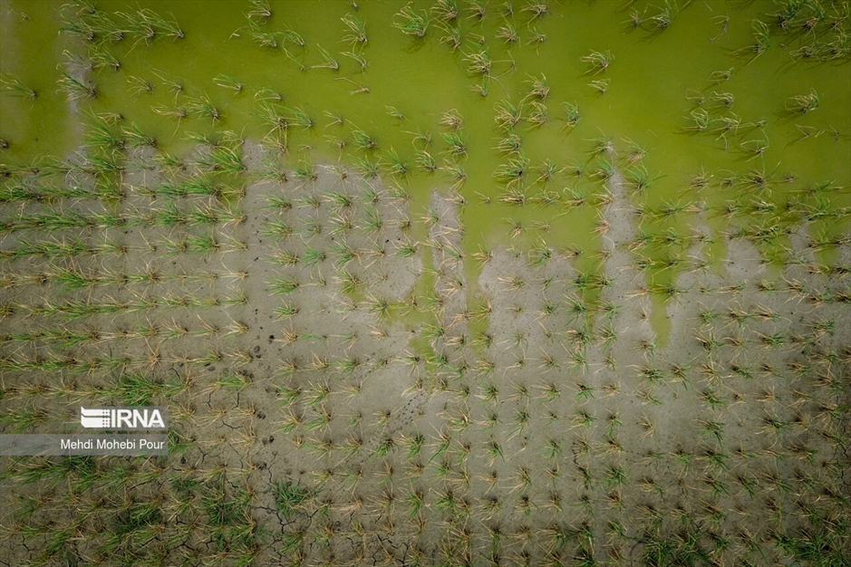 آخر این قصه بیابان است...