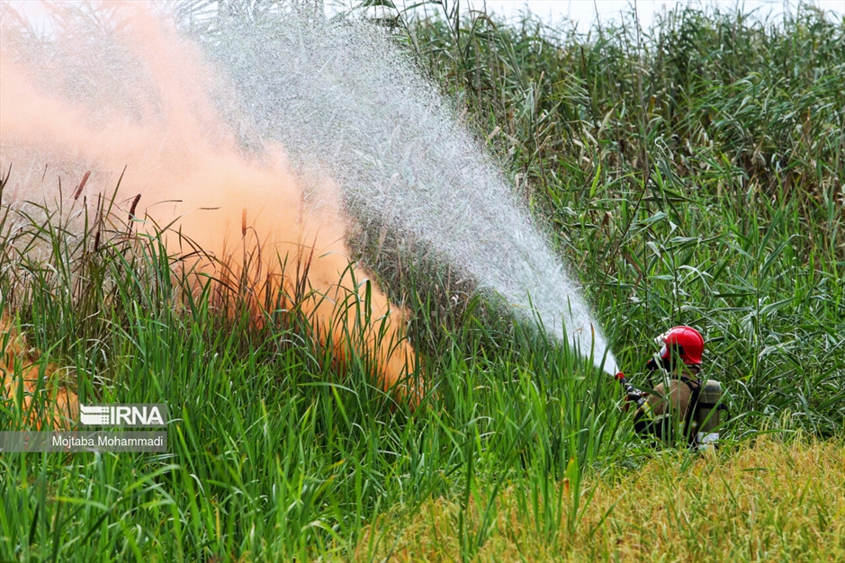 مانور اطفای حریق در تالاب بندرانزلی