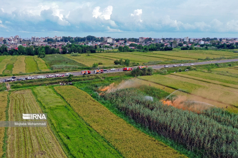 مانور اطفای حریق در تالاب بندرانزلی