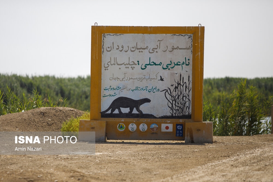 مرگ تدریجی هورالعظیم