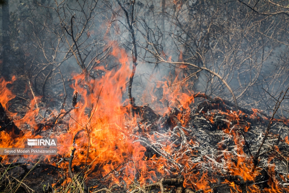 آتش سوزی جنگلهای بلوط زاگرس