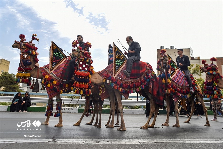 کاروان طایفه بنی اسد