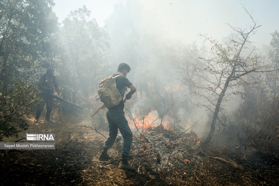 آتش سوزی جنگلهای بلوط زاگرس
