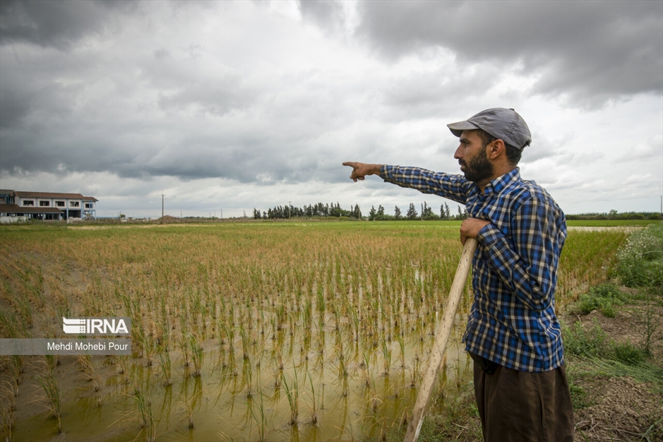 آخر این قصه بیابان است...