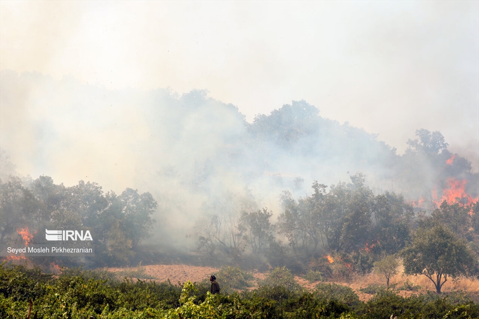 آتش سوزی جنگلهای بلوط زاگرس