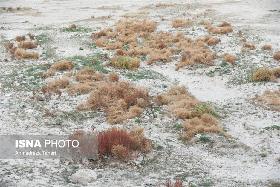 داغ زاینده‌رود!