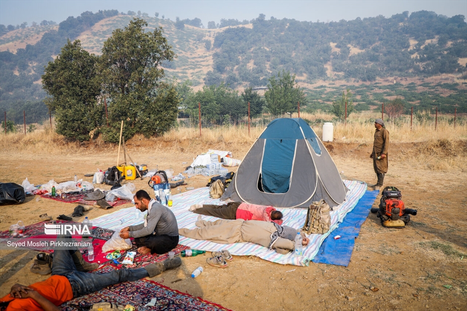 آتش سوزی جنگلهای بلوط زاگرس