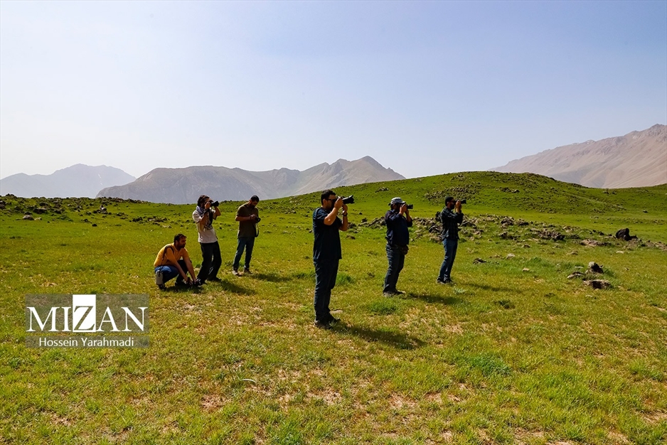  به مناسبت روز خبرنگار