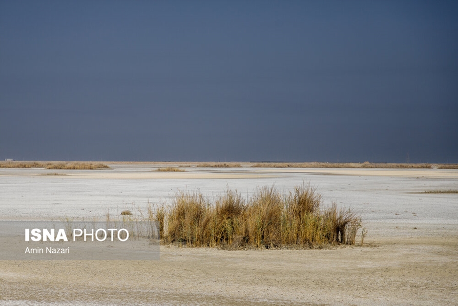 مرگ تدریجی هورالعظیم