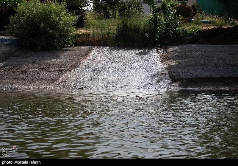 حال و روز دریاچه آزادی در روزهای گرم تابستان