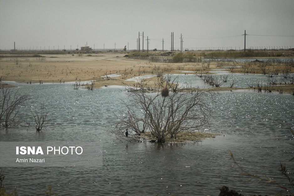 مرگ تدریجی هورالعظیم