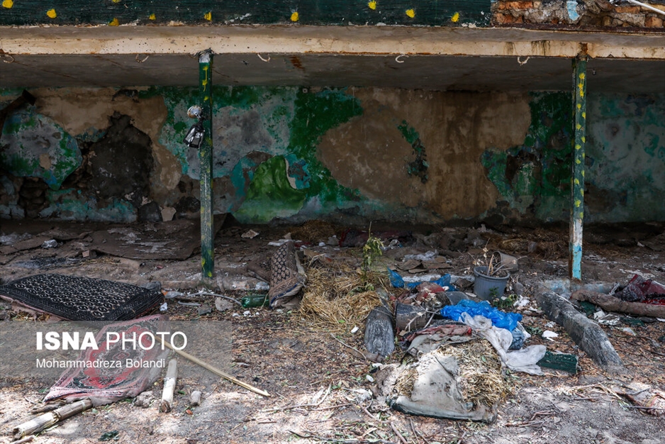 امامزاده داوود علیه‌السلام، یک سال پس از سیل