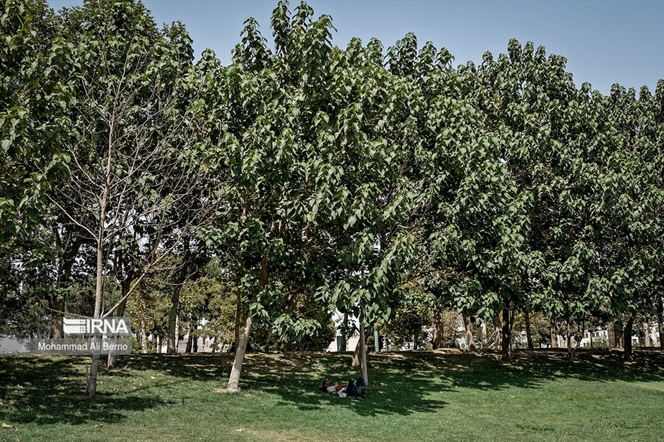 تهران در گرمترین ساعات سال