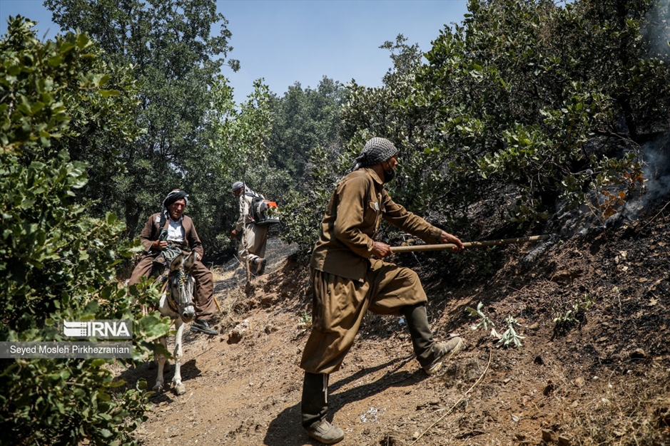 آتش سوزی جنگلهای بلوط زاگرس