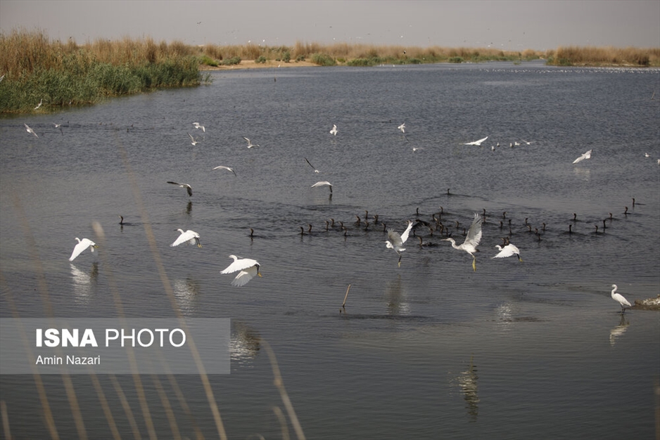 مرگ تدریجی هورالعظیم