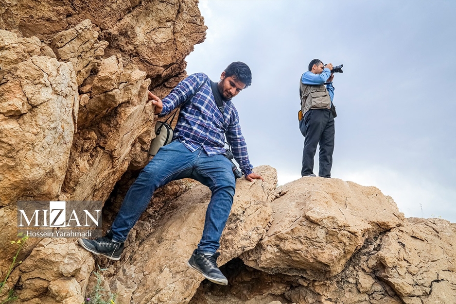  به مناسبت روز خبرنگار