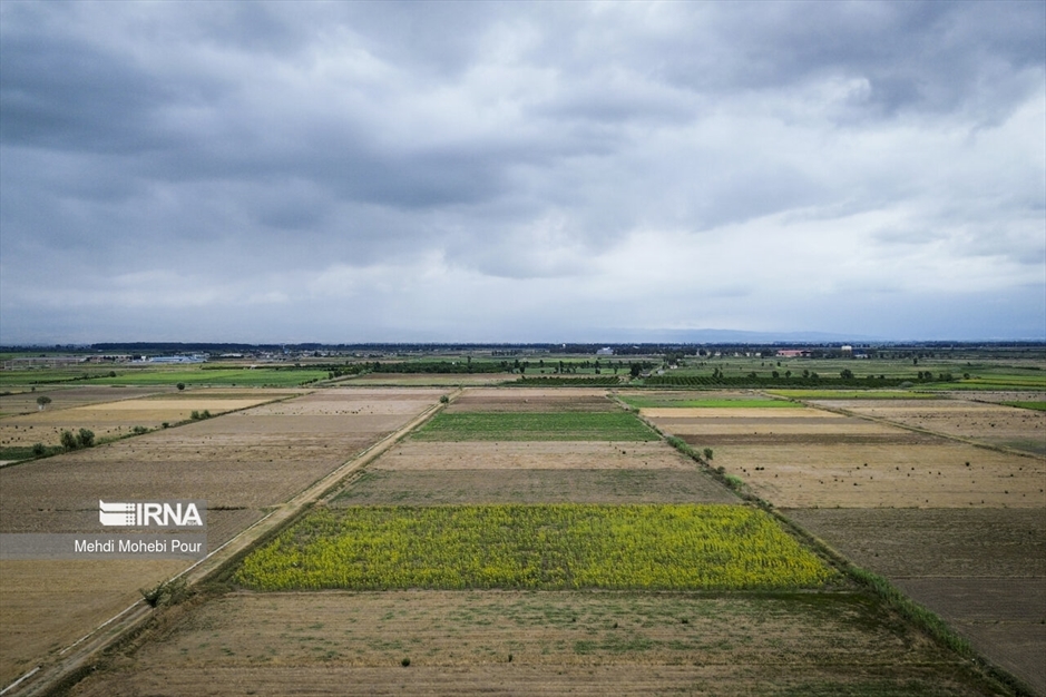 آخر این قصه بیابان است...
