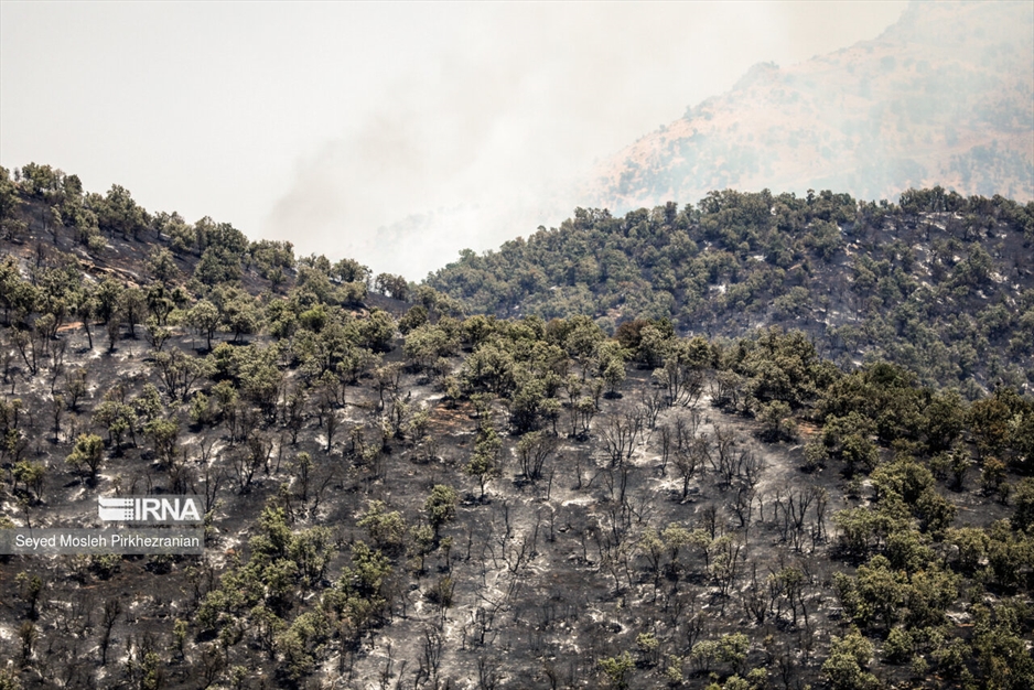 آتش سوزی جنگلهای بلوط زاگرس
