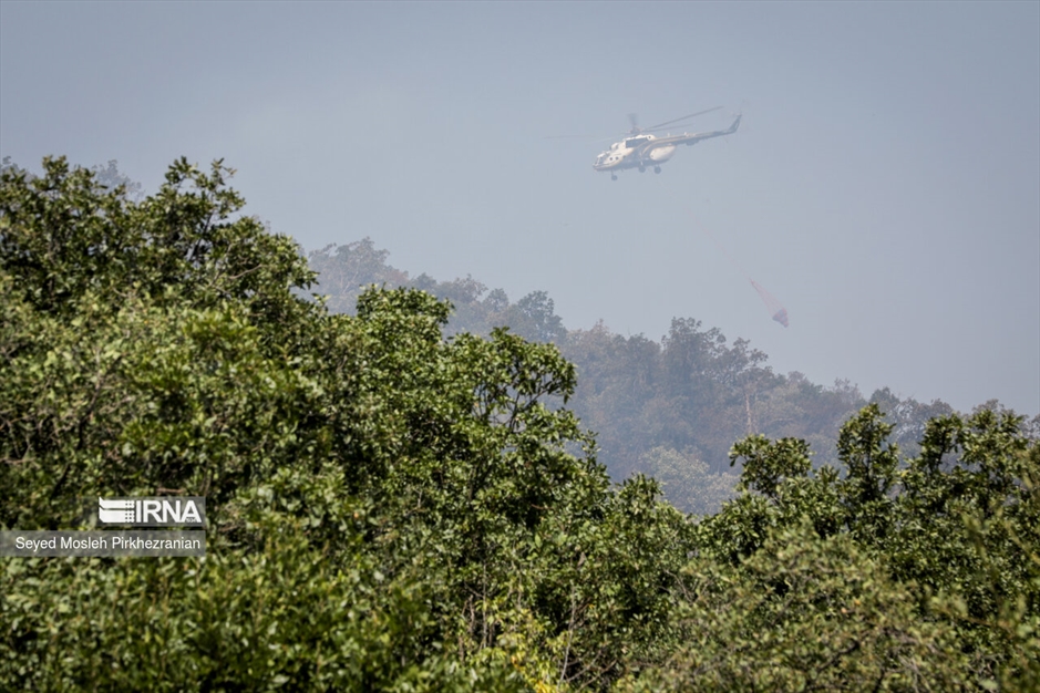 آتش سوزی جنگلهای بلوط زاگرس