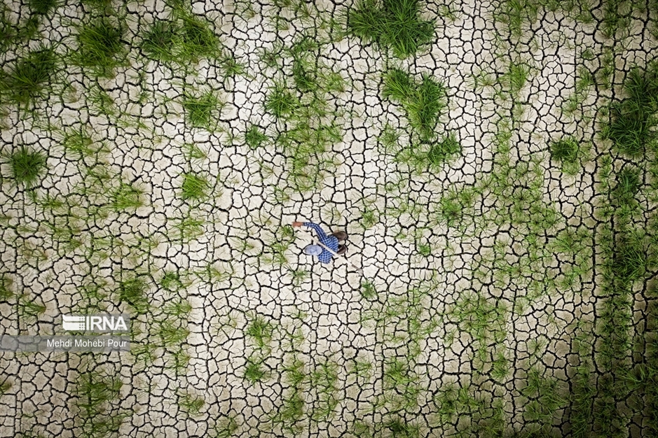 آخر این قصه بیابان است...