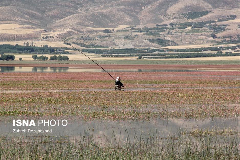 تالاب چغاخور - شهرکرد