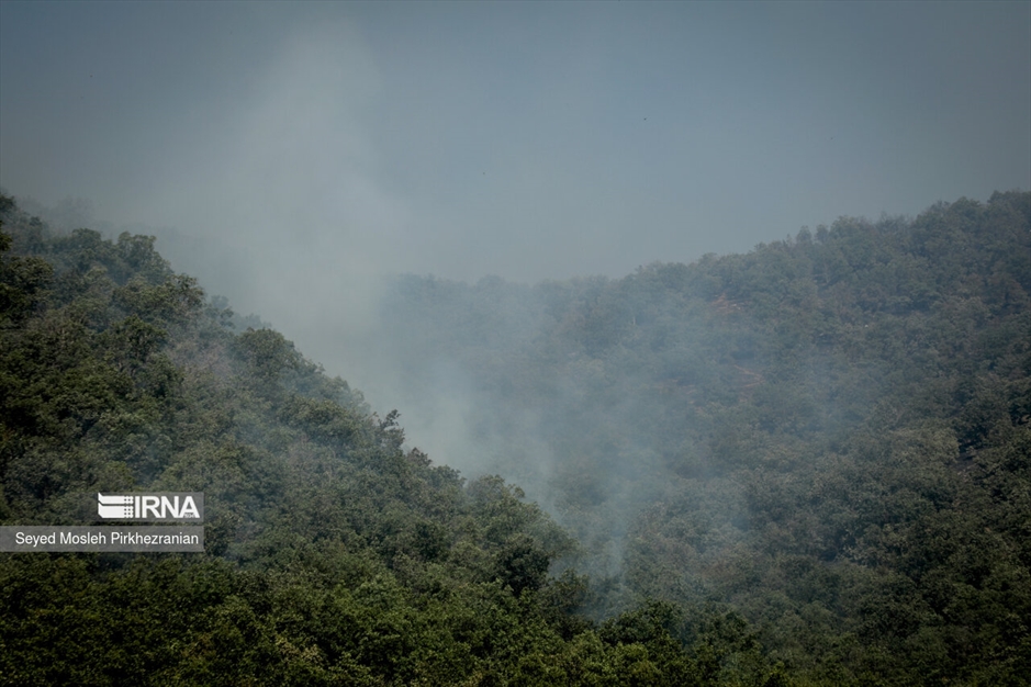 آتش سوزی جنگلهای بلوط زاگرس