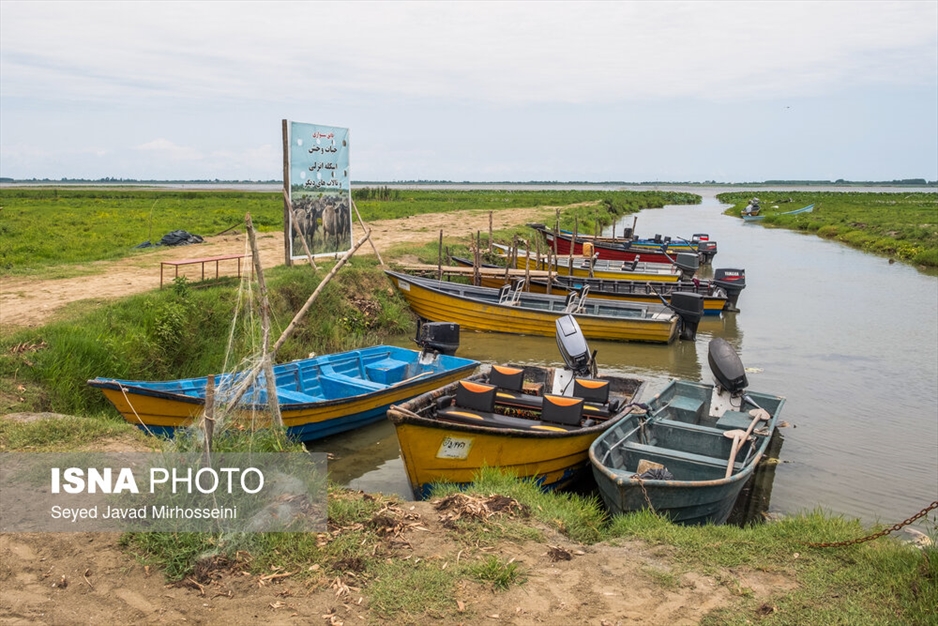 آبکنار، تالابی در حاشیه تالاب انزلی