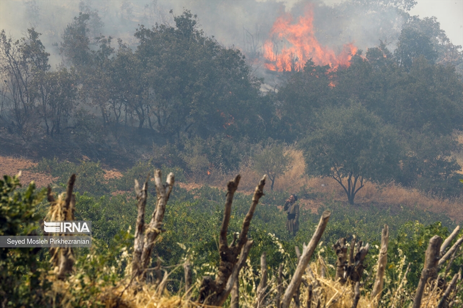 آتش سوزی جنگلهای بلوط زاگرس