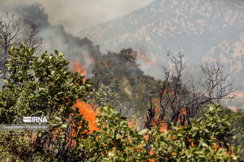 آتش سوزی جنگلهای بلوط زاگرس