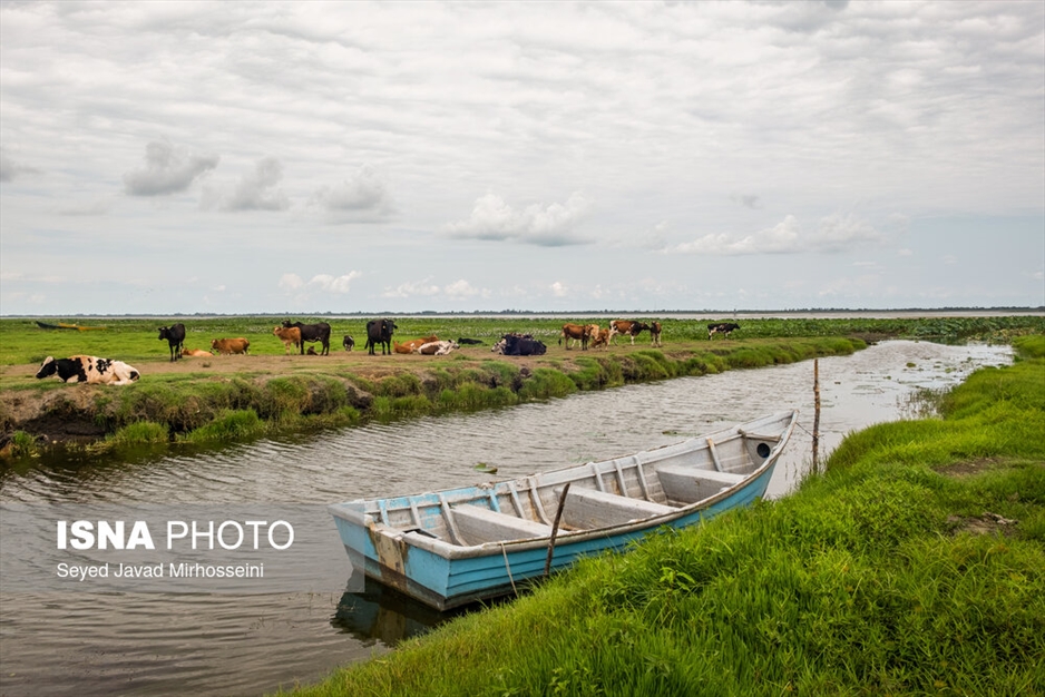 آبکنار، تالابی در حاشیه تالاب انزلی