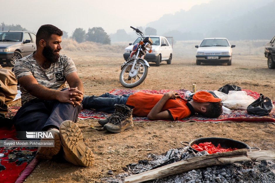 آتش سوزی جنگلهای بلوط زاگرس