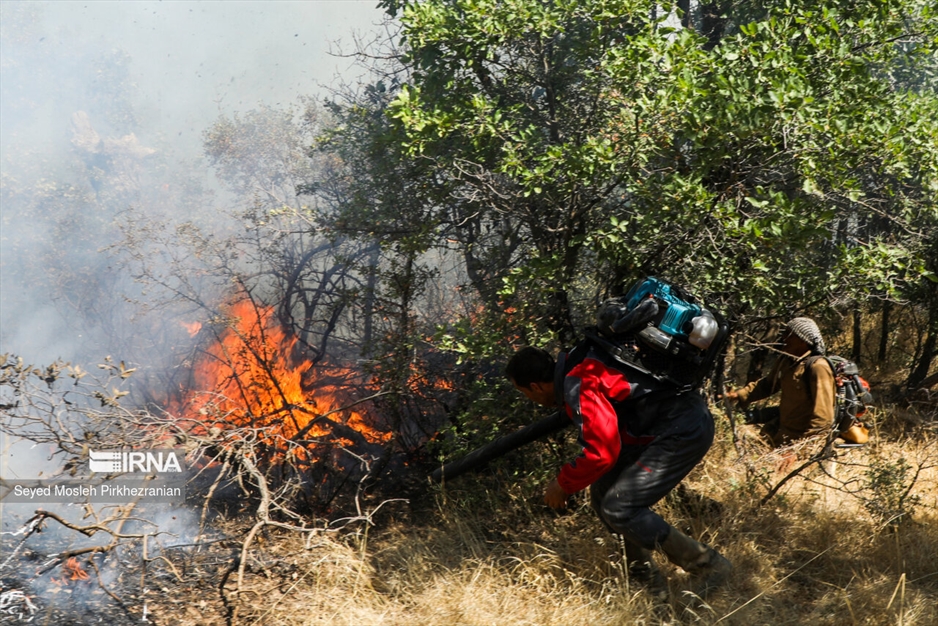 آتش سوزی جنگلهای بلوط زاگرس