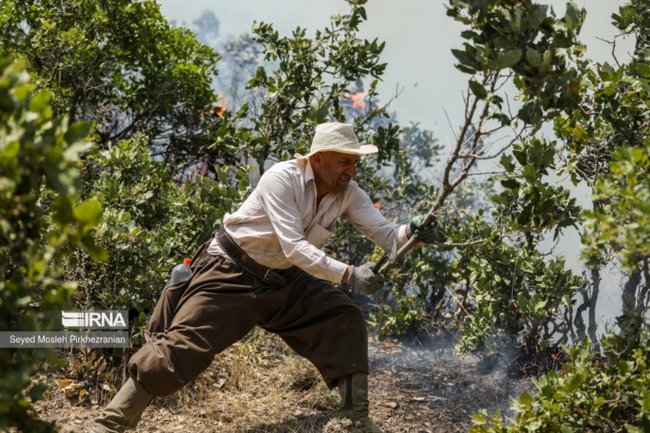 آتش سوزی جنگلهای بلوط زاگرس