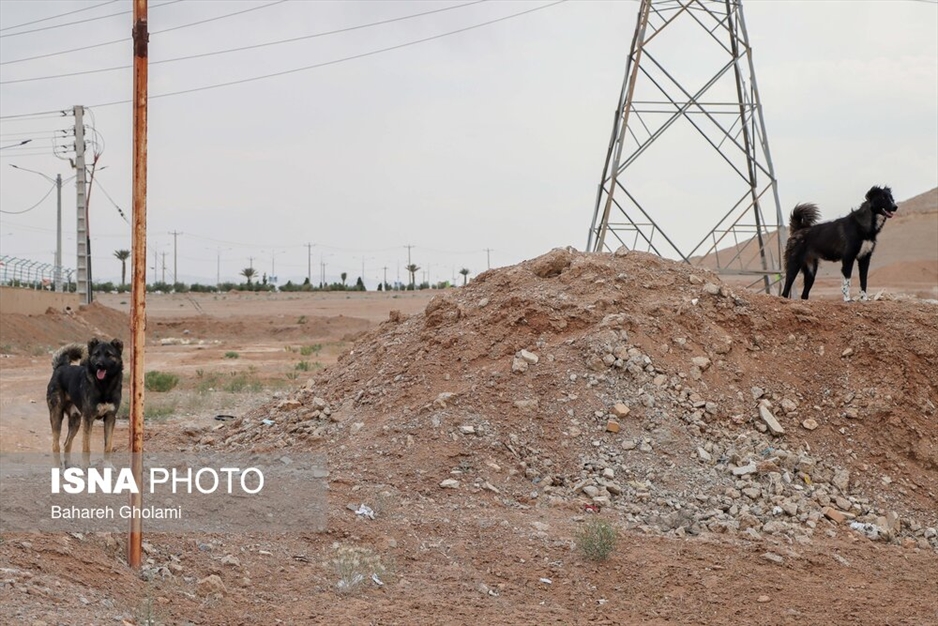 گوشه به گوشه ایران: محمدآباد دیاری از دل کویر