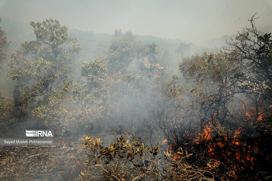 آتش سوزی جنگلهای بلوط زاگرس
