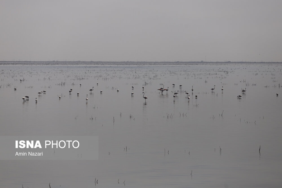 مرگ تدریجی هورالعظیم