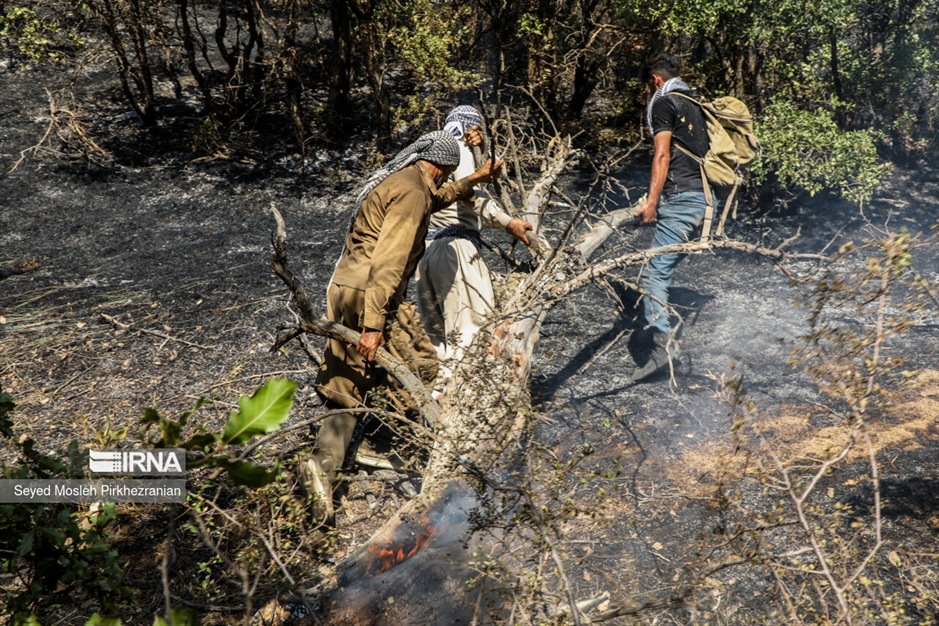 آتش سوزی جنگلهای بلوط زاگرس