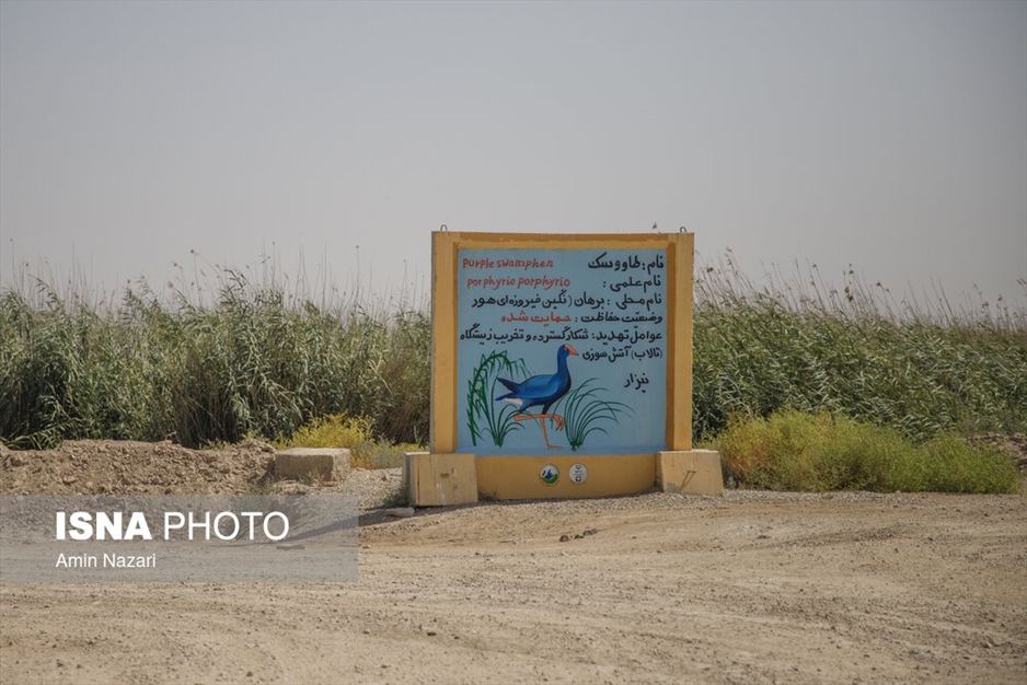 مرگ تدریجی هورالعظیم