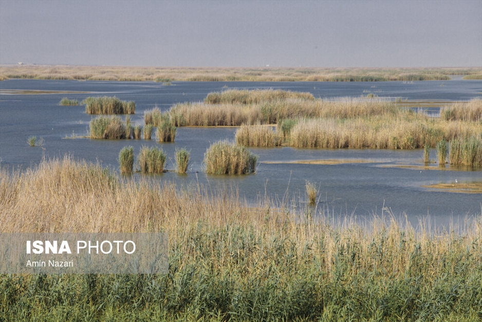 مرگ تدریجی هورالعظیم