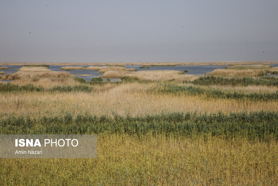 مرگ تدریجی هورالعظیم