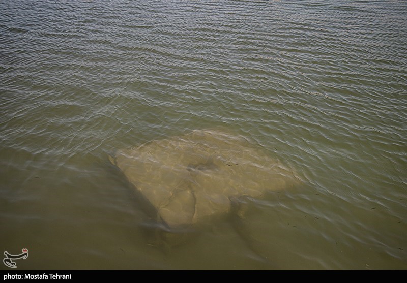 حال و روز دریاچه آزادی در روزهای گرم تابستان