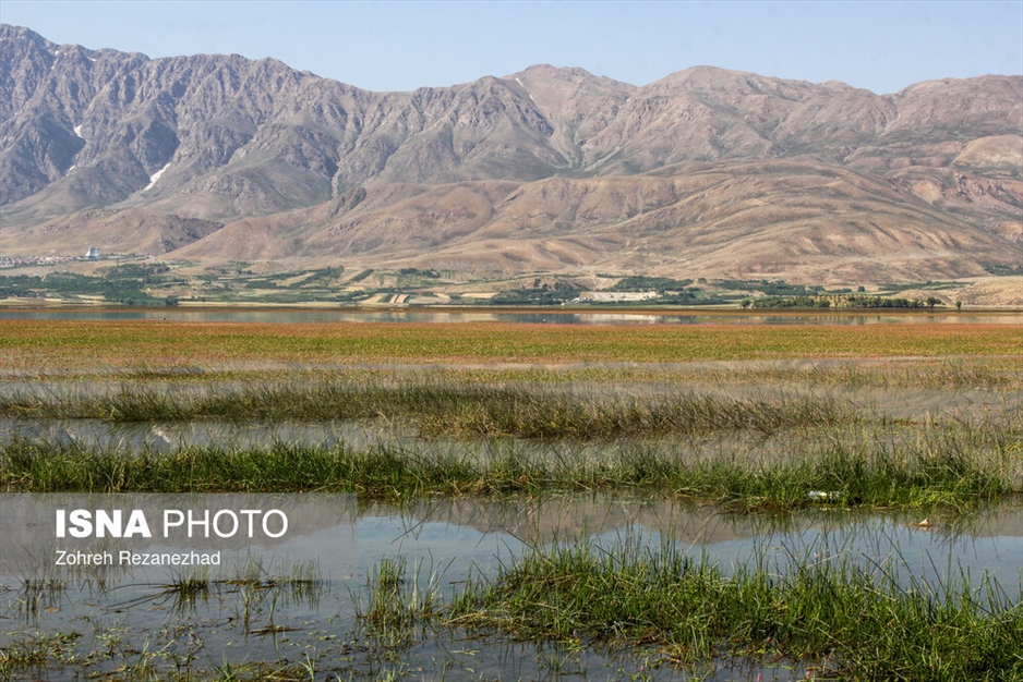 تالاب چغاخور - شهرکرد